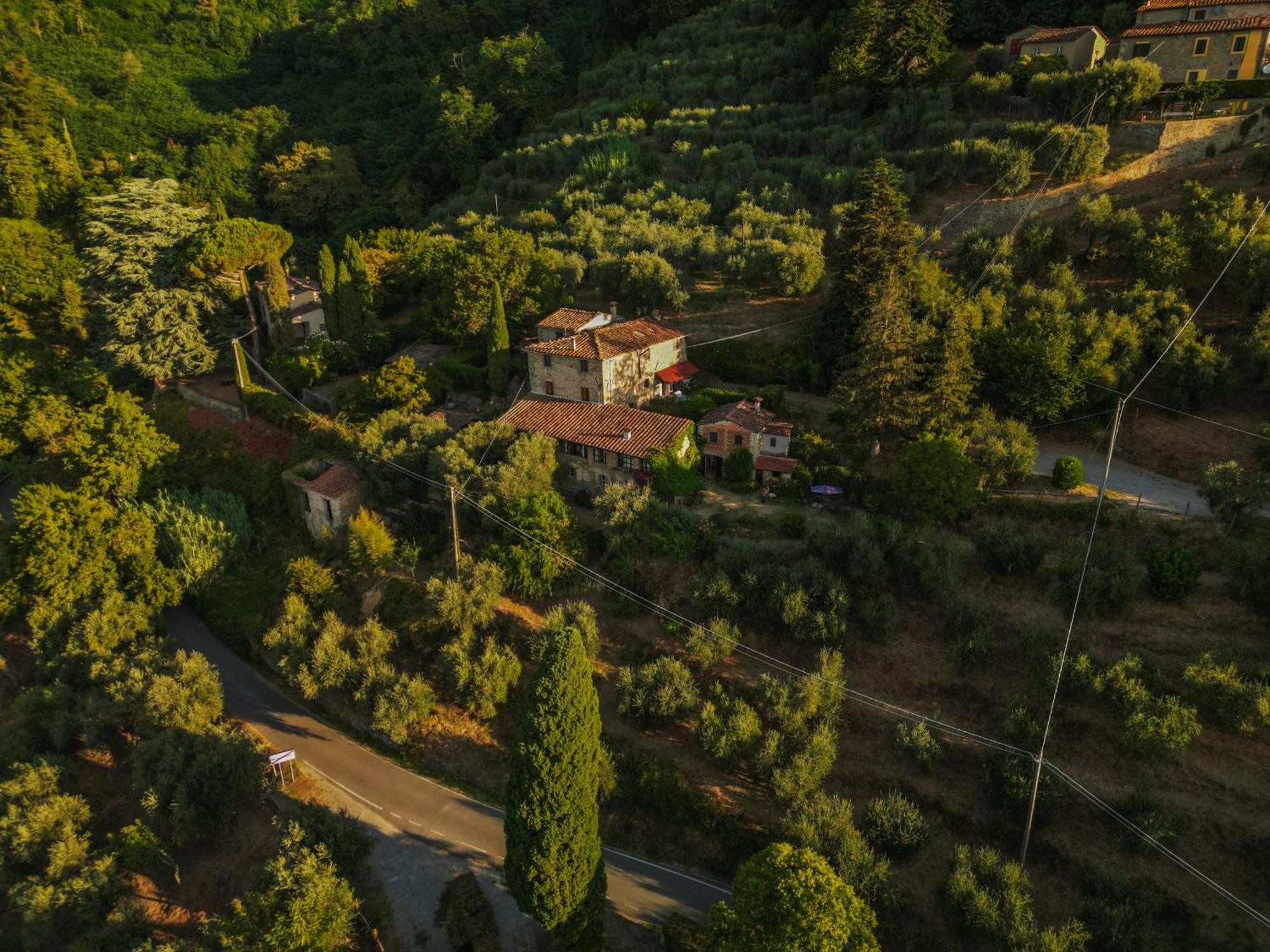 Orto Dei Bruchi Διαμέρισμα Collodi Εξωτερικό φωτογραφία
