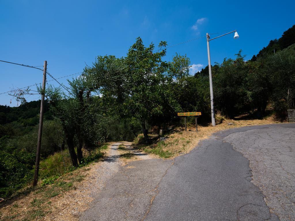 Orto Dei Bruchi Διαμέρισμα Collodi Εξωτερικό φωτογραφία